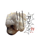 よく使う☆癒やしのふうにゃん（個別スタンプ：23）