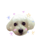 よく使う☆癒やしのふうにゃん（個別スタンプ：24）