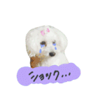 よく使う☆癒やしのふうにゃん（個別スタンプ：26）
