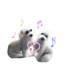 よく使う☆癒やしのふうにゃん（個別スタンプ：31）