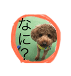 ぽぽちゃんスタイル（個別スタンプ：3）