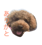ぽぽちゃんスタイル（個別スタンプ：4）