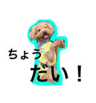 ぽぽちゃんスタイル（個別スタンプ：5）