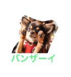 LOVE ＆ ICHIGO（個別スタンプ：6）
