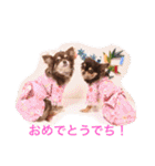LOVE ＆ ICHIGO（個別スタンプ：25）