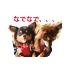 LOVE ＆ ICHIGO（個別スタンプ：27）