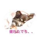 LOVE ＆ ICHIGO（個別スタンプ：32）