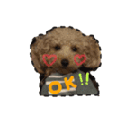 わんわんs（個別スタンプ：1）