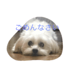 村山さんちのもかちゃん（個別スタンプ：4）
