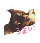 たえの日常生活♡（個別スタンプ：2）