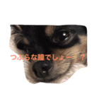 たえの日常生活♡（個別スタンプ：13）