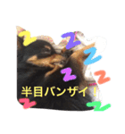 たえの日常生活♡（個別スタンプ：15）