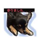 たえの日常生活♡（個別スタンプ：17）