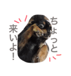 たえの日常生活♡（個別スタンプ：21）