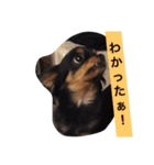 たえの日常生活♡（個別スタンプ：27）