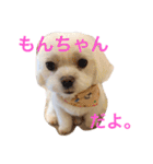 もんちゃんの日常スタンプ（個別スタンプ：16）