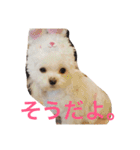 もんちゃんの日常スタンプ（個別スタンプ：32）