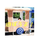 saepyon（個別スタンプ：12）