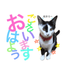 ビビりのビビたん。（個別スタンプ：1）