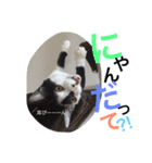 ビビりのビビたん。（個別スタンプ：3）