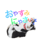 ビビりのビビたん。（個別スタンプ：7）