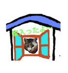 愛猫マルモ1（個別スタンプ：1）