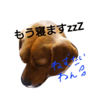 マリーちゃんの日常6（個別スタンプ：16）