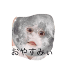 フライバード（個別スタンプ：4）