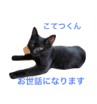幸せになった保護猫3（個別スタンプ：8）