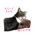 幸せになった保護猫3（個別スタンプ：9）