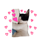 白黒ねこももこの日常（個別スタンプ：2）