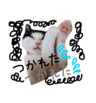 白黒ねこももこの日常（個別スタンプ：3）