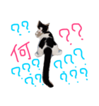 白黒ねこももこの日常（個別スタンプ：5）