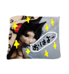 白黒ねこももこの日常（個別スタンプ：7）