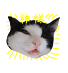 白黒ねこももこの日常（個別スタンプ：11）