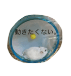 ハムスターのおともだち（個別スタンプ：8）