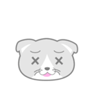 どうぶつ百面相（ねこ）（個別スタンプ：8）