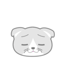 どうぶつ百面相（ねこ）（個別スタンプ：12）