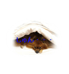 愛犬暮らし（個別スタンプ：2）
