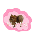 愛犬暮らし（個別スタンプ：3）