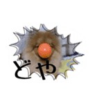 愛犬暮らし（個別スタンプ：14）
