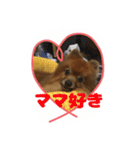 愛犬暮らし（個別スタンプ：15）