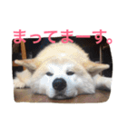 仲良しパティと。（個別スタンプ：1）