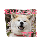 仲良しパティと。（個別スタンプ：5）