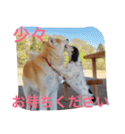 仲良しパティと。（個別スタンプ：8）