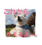 仲良しパティと。（個別スタンプ：9）