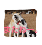 仲良しパティと。（個別スタンプ：10）