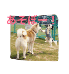 仲良しパティと。（個別スタンプ：11）