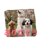 仲良しパティと。（個別スタンプ：16）