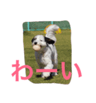 仲良しパティと。（個別スタンプ：18）